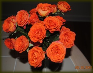 rose1
