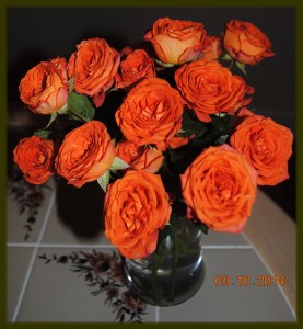 rose2