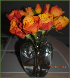rose3