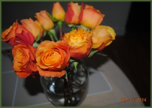 rose5