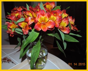 flower2