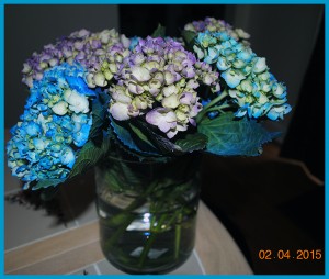 flower1