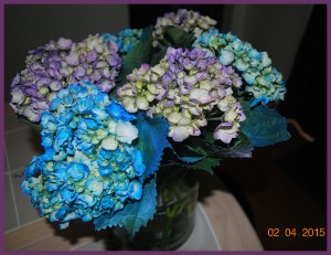 flower2