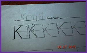 kruti65