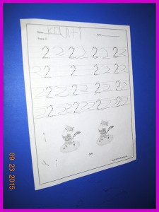 krutischool17