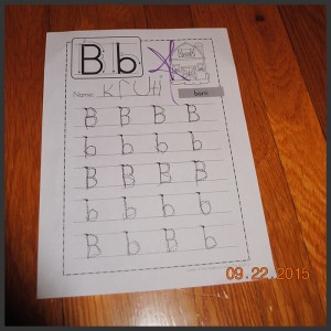 krutischool7