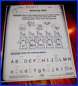 krutischool13