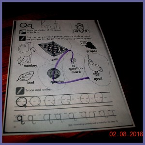 krutischool311