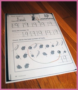 krutischool328
