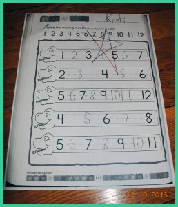 krutischool348