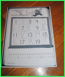 krutischool8