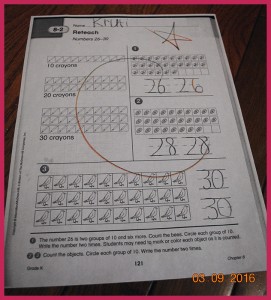krutischool561
