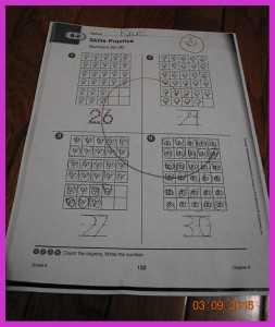 krutischool564