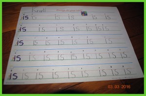 krutischool681