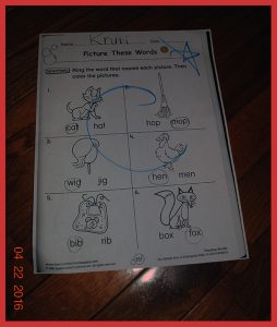 krutischool4281