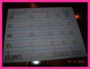 krutischool53120169