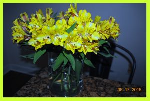 flowers2
