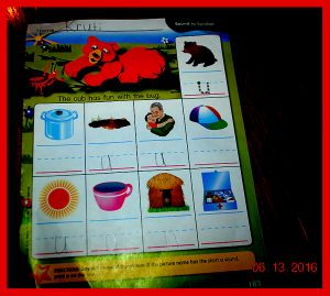 krutihome61520166