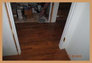 home7283