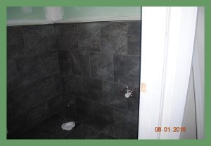 homepic5