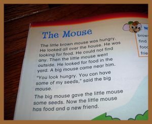 8218