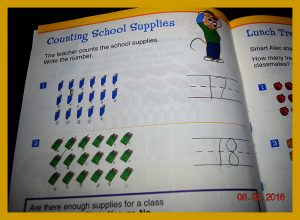 8231