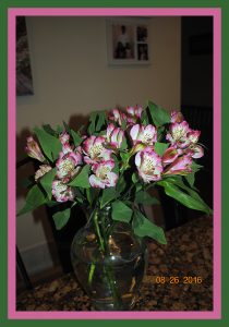 flower826