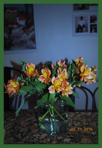 flowers914