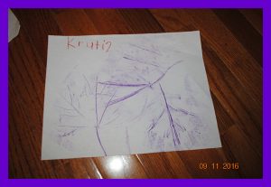 krutihome91220162