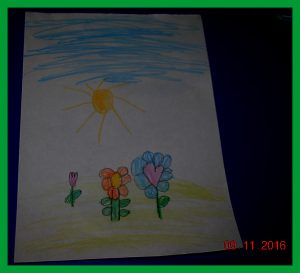 krutihome91220165
