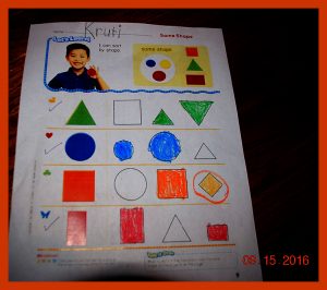 krutischool91620161