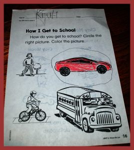 krutischool91620164