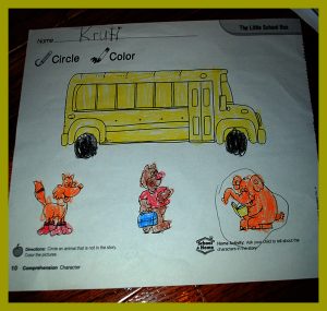 krutischool91620167
