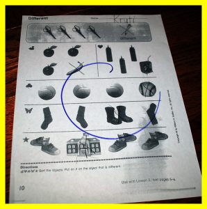 krutischool91620169