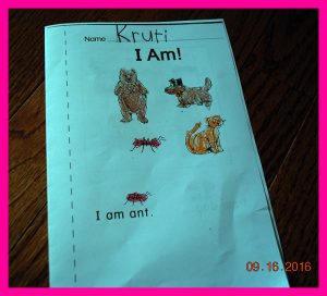 krutischool91620170