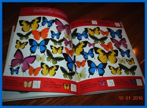 krutihome1011010