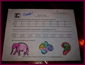krutischool10192