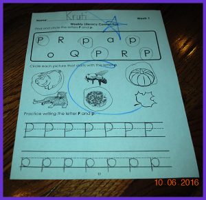 krutischool10616026