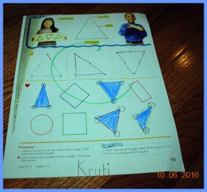 krutischool10616029