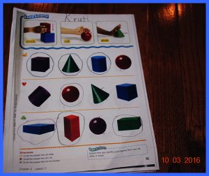 krutischool106161