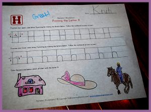 krutischool1110164