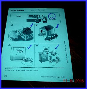 krutischool1117163