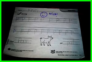 krutischool1117168