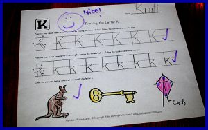 krutischool11305