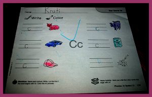 krutischool12216011
