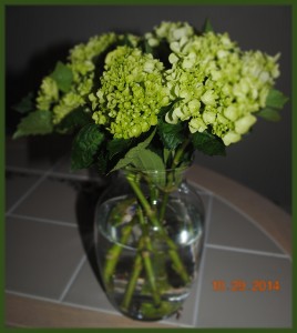 DSC_0123 (3)
