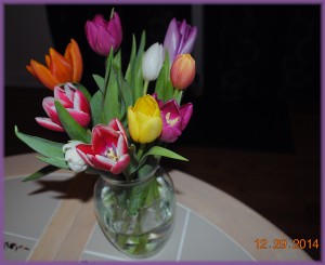 tulips