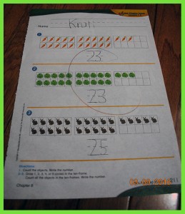 krutischool565