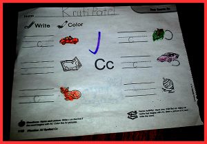 krutischool11307